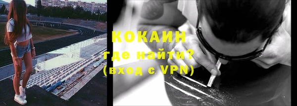 гидра Надым