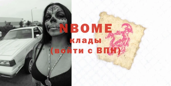 гидра Надым