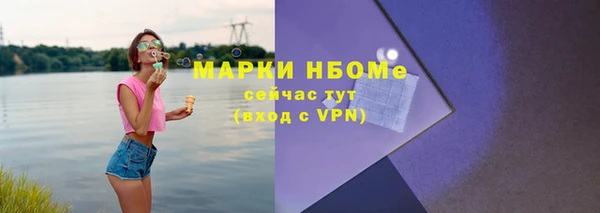 гидра Надым