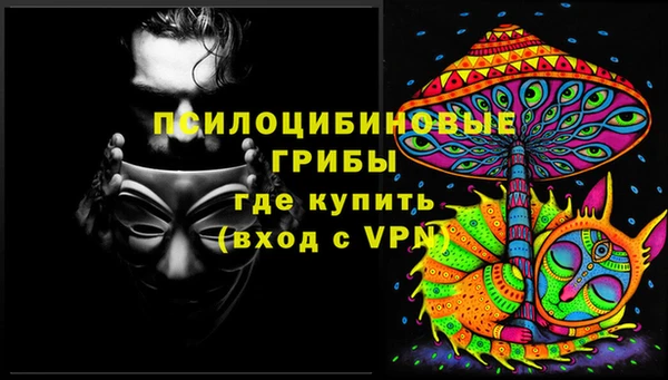 гидра Надым