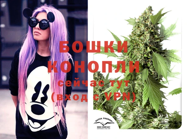 гидра Надым