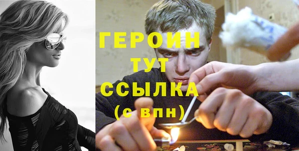 гидра Надым