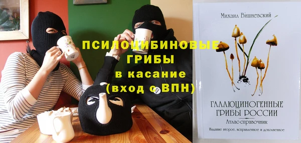 гидра Надым